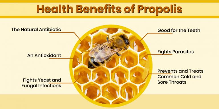 Top 5 Benefits of Brazilian Green Propolis | Dynamic Nutrition