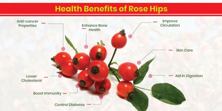 The Amazing Benefits Of Rose Hips | Dynamic Nutrition