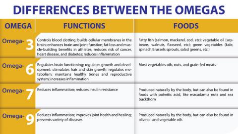 Omega 3, 6, 7, 9 - What Are The Differences And Benefits? | Dynamic ...