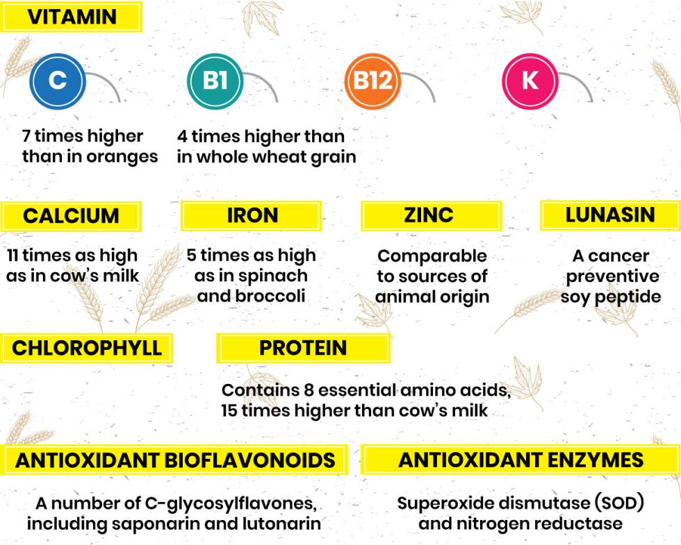 liquadry-organic-barleygrass-juice-powder-dynamic-nutrition