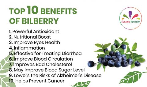 Top Ten Benefits of Bilberry | Dynamic Nutrition